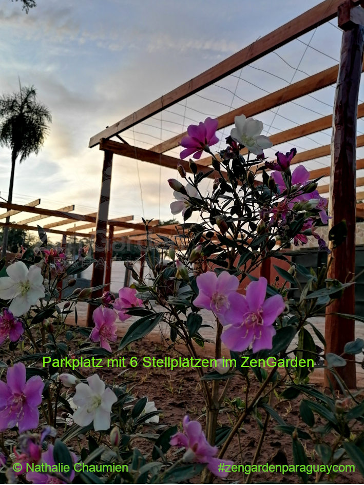 Pergola des Parkplatz ZenGarden Paraguay