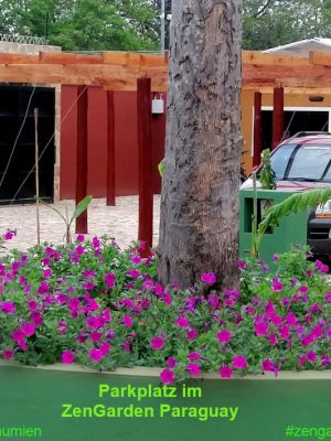 Parkplatz im ZenGarden Paraguay