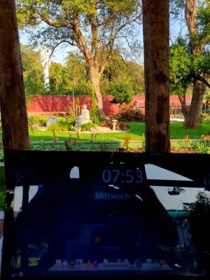 ZenGarden Paraguay Blog